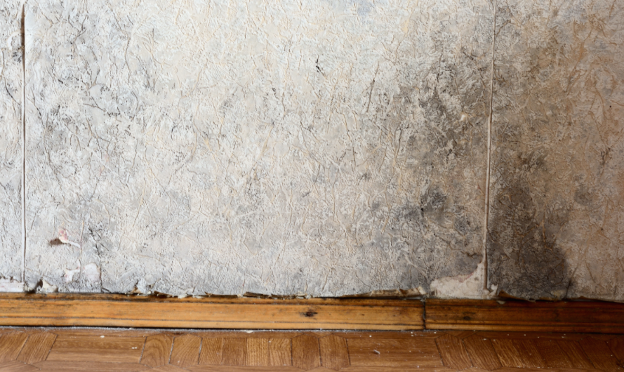 企業微信截圖_16740949309425